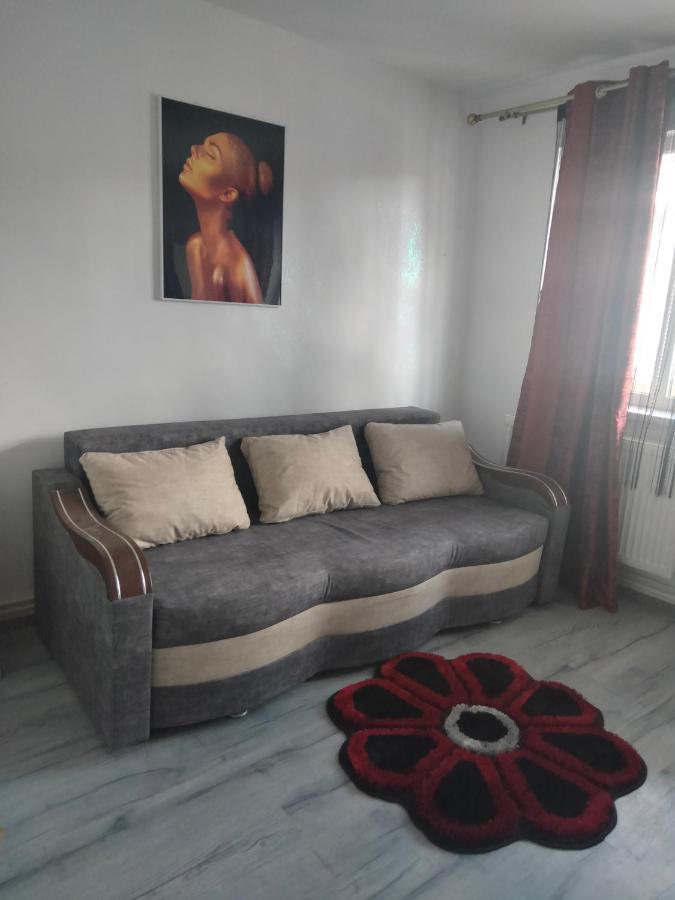 Apartament Geo Nehoiu Buitenkant foto