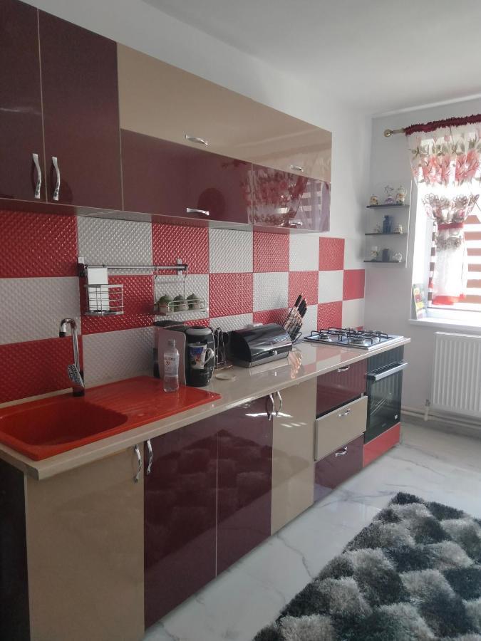 Apartament Geo Nehoiu Buitenkant foto