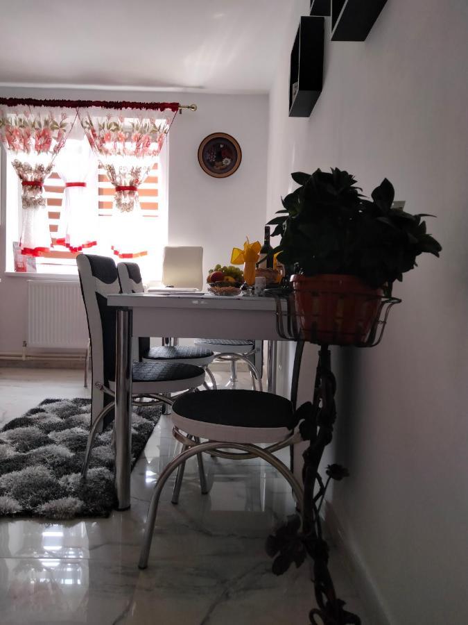 Apartament Geo Nehoiu Buitenkant foto